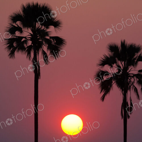 Sunset, Botswana Sunset, Botswana