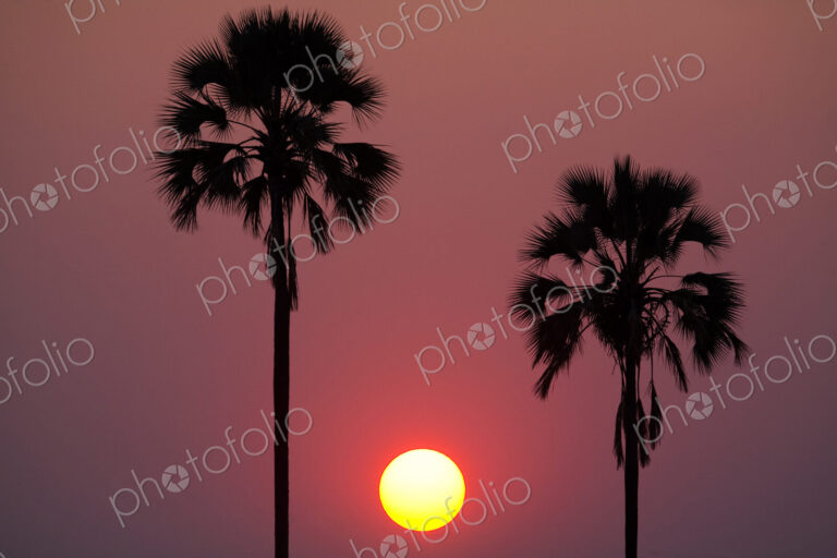 Sunset, Botswana