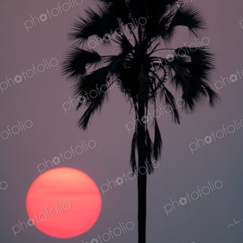 Sunset, Botswana Sunset, Botswana