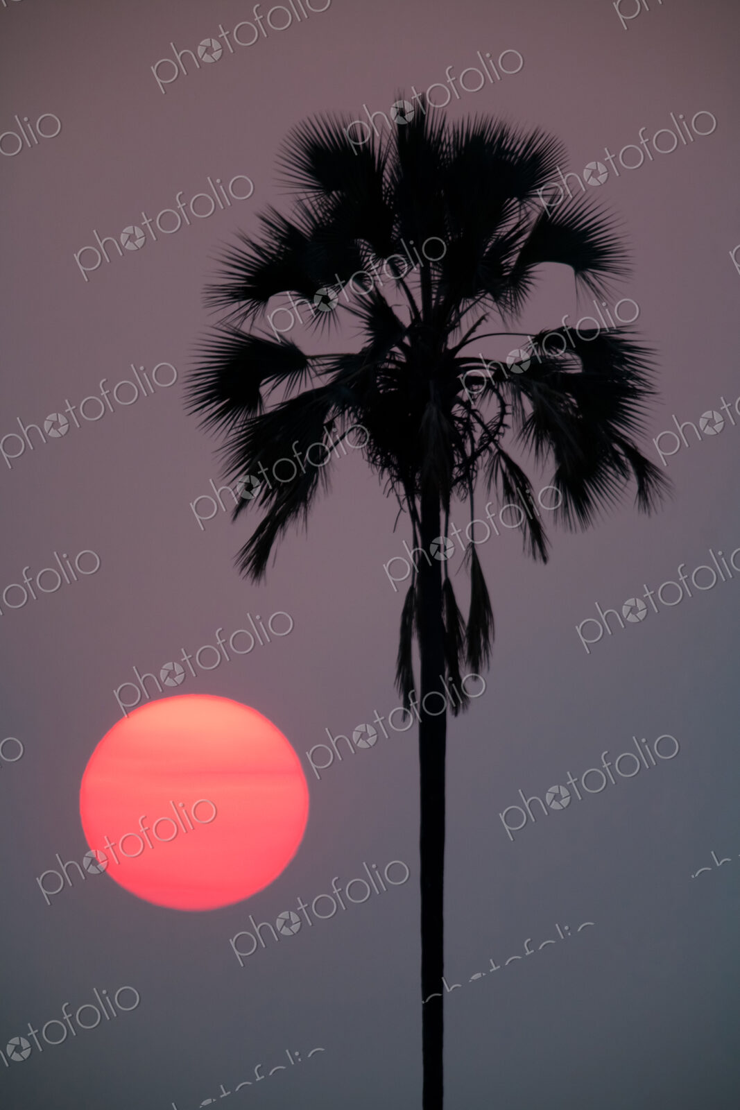 Sunset, Botswana