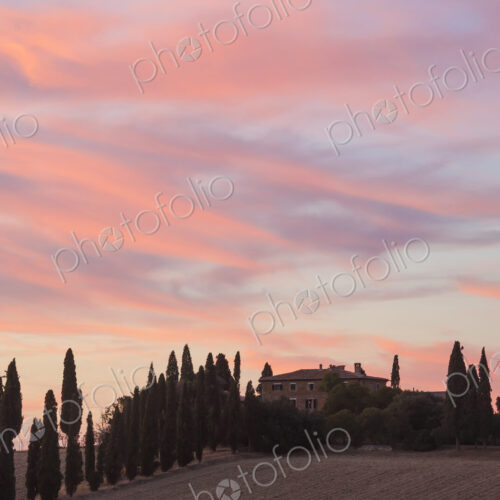 Sunset across a cloudy Italian landscape with cypress trees and farmhouse. Sunset across a cloudy Italian landscape with cypress trees and farmhouse.