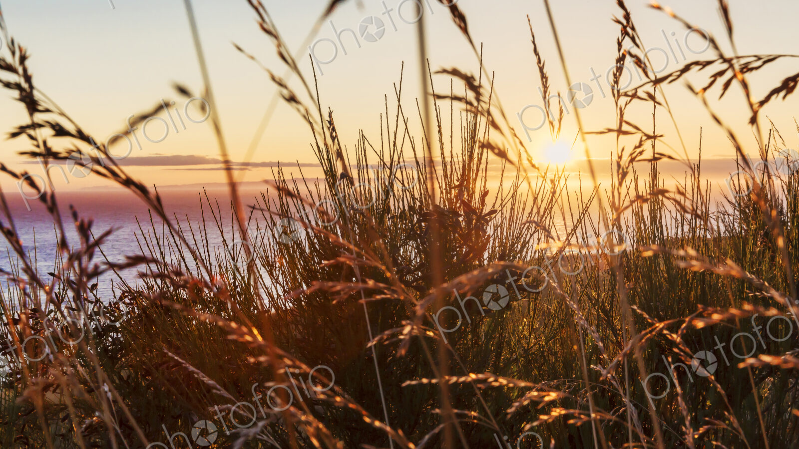 Sunset over the ocean seen through grass.