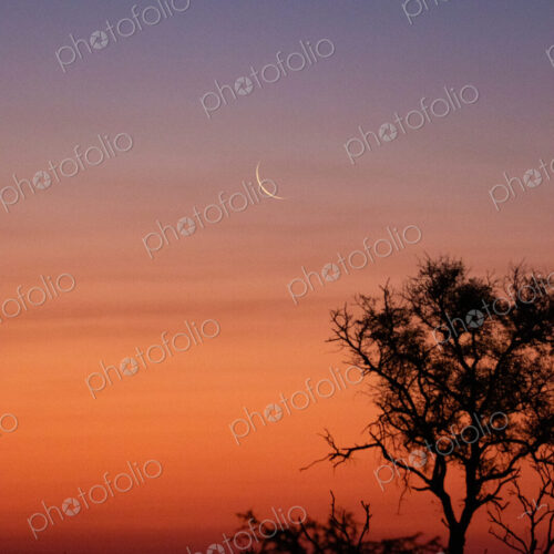 Sunset with New Moon, atmospheric scene. Sunset with New Moon, atmospheric scene.