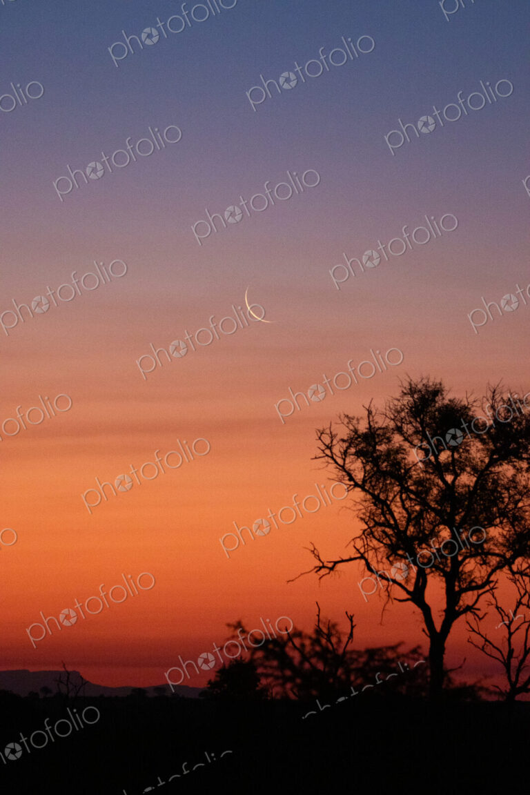 Sunset with New Moon, atmospheric scene.