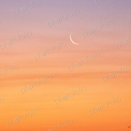 Sunset, with a new moon. Sunset, with a new moon.