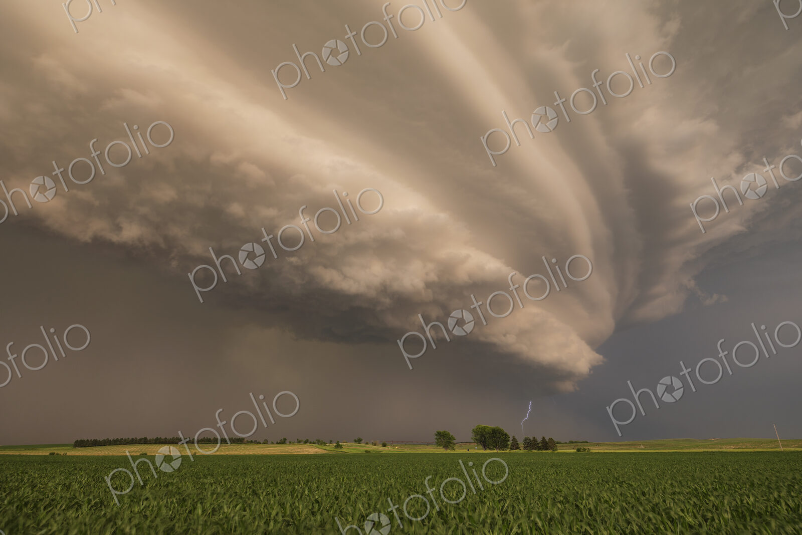 Supercell with a Sculpted Base at Sunset
