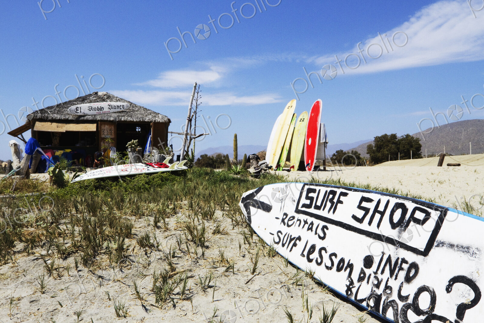 Surf Shop