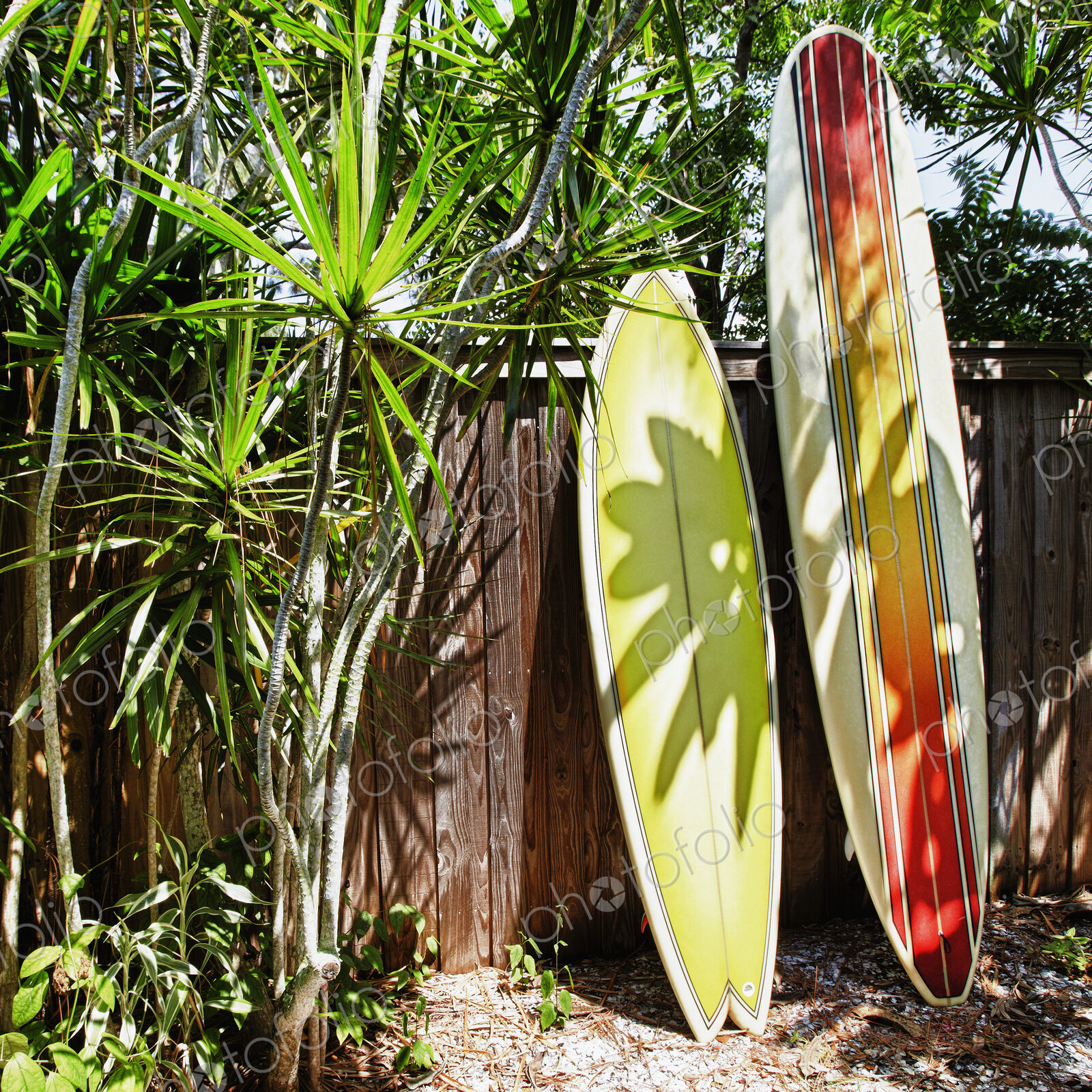 Surfboards Leaning Against a Fence