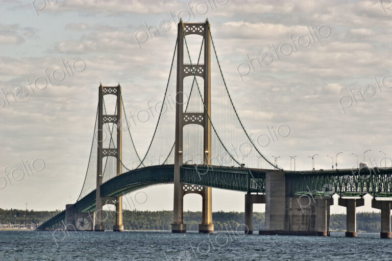 Suspension Bridge