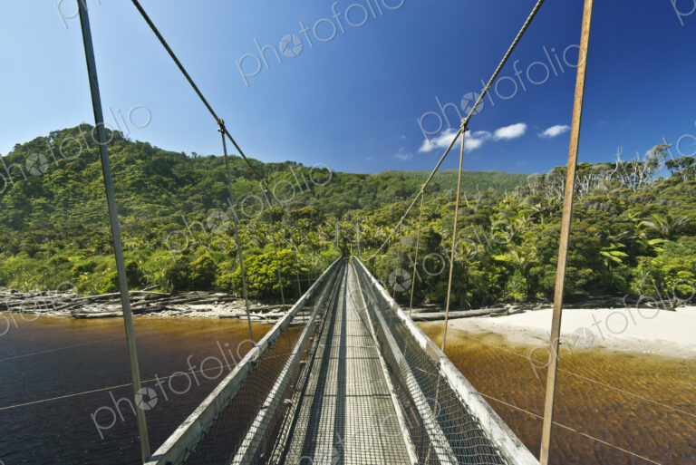 Suspension bridge over tropical beach