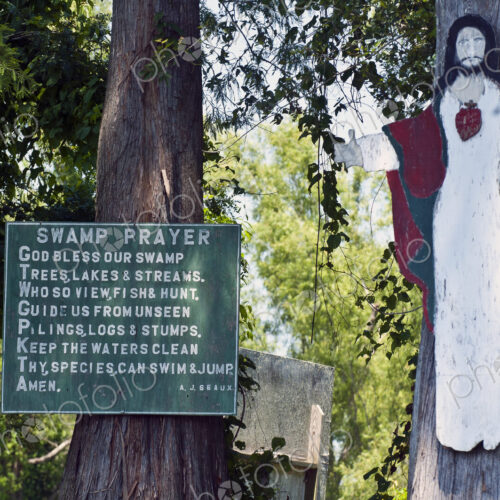 Swamp Prayer