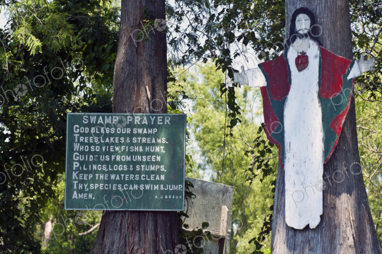 Swamp Prayer