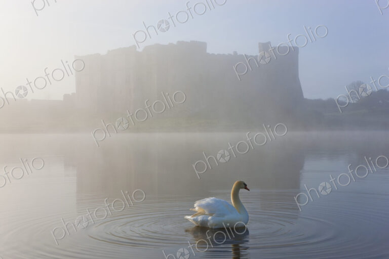 Swan on a moat covered in mist, with medieval castle in the distance.