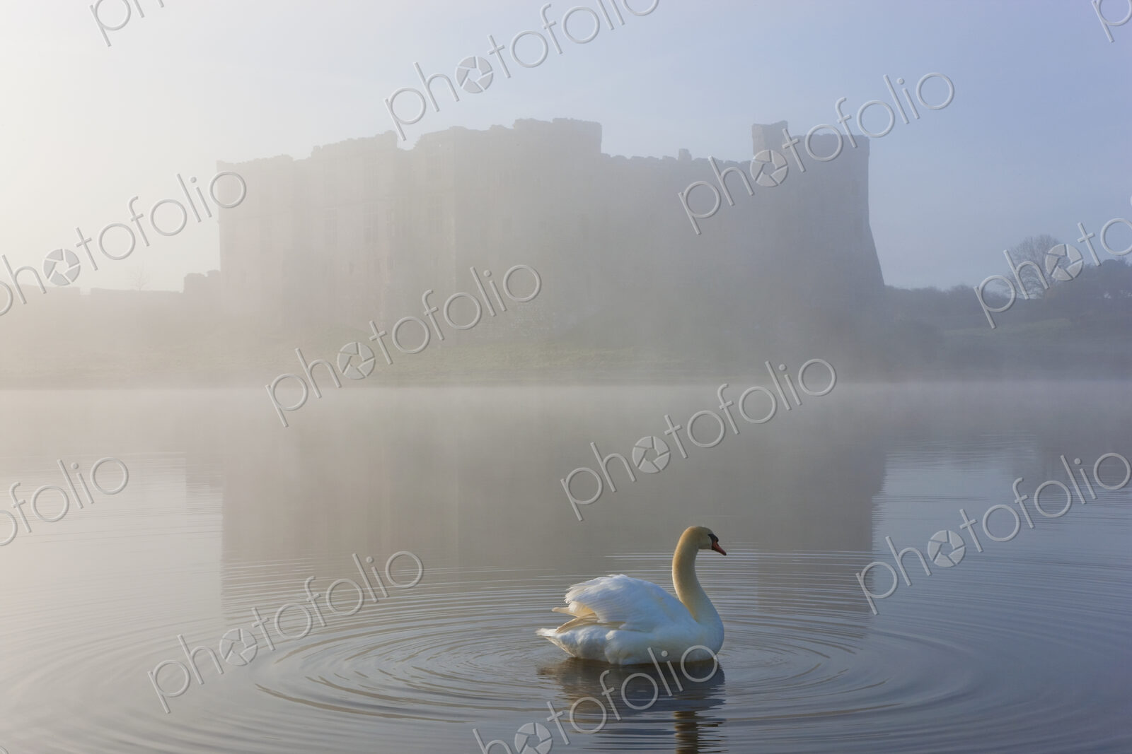 Swan on a moat covered in mist, with medieval castle in the distance.