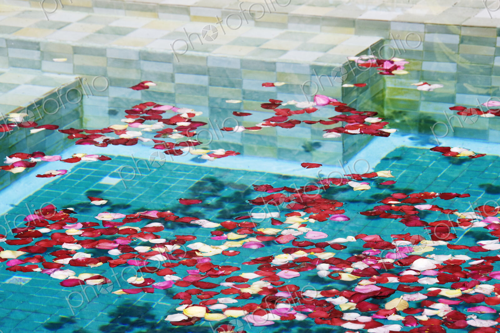 Swimming Pool with Rose Petals