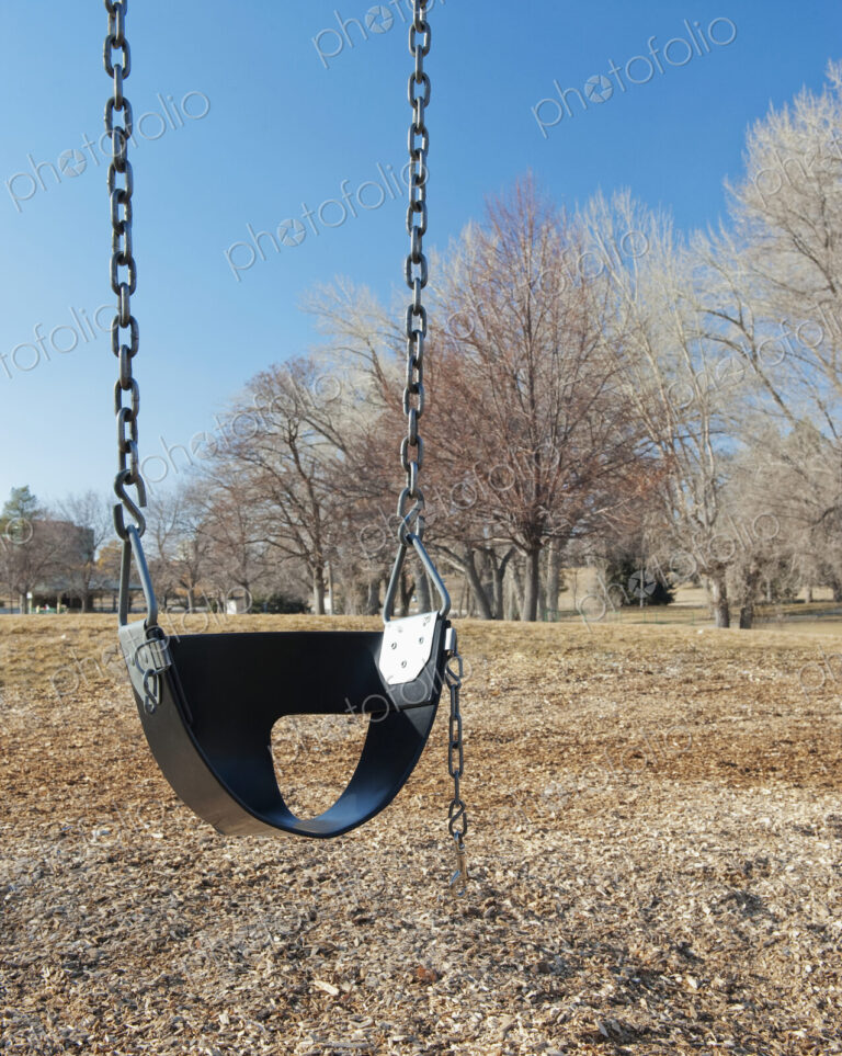 Swing Set on a Grass Field