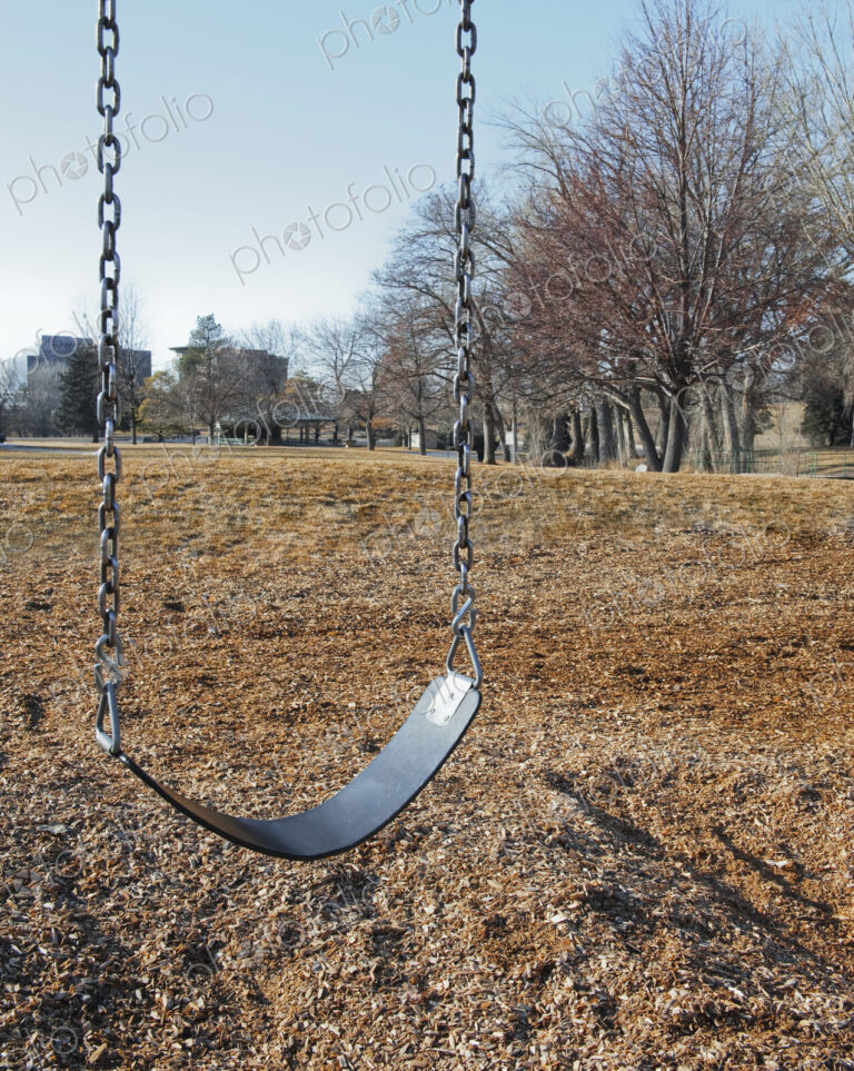 Swing Set on a Grass Field