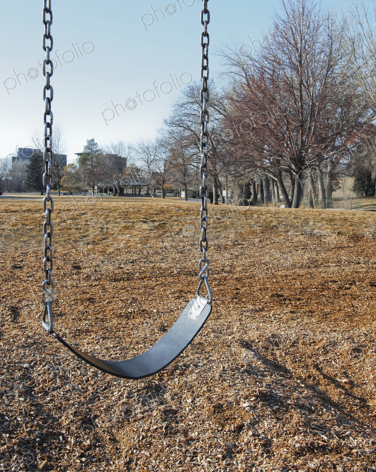 Swing Set on a Grass Field