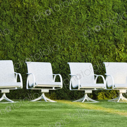 Swivel chairs in front of a hedge on grass. Swivel chairs in front of a hedge on grass.