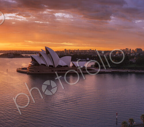 Sydney harbour with cruise ship docked at dawn.