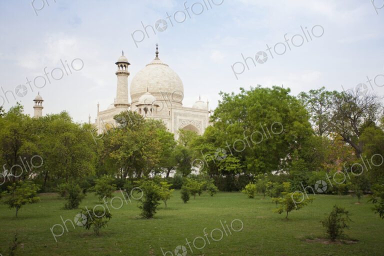 Taj Mahal From a Grass lawn