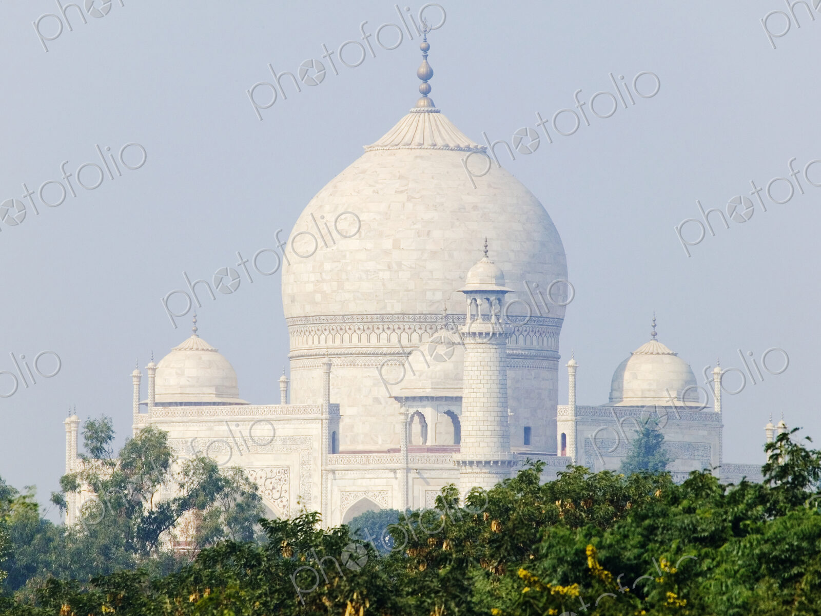Taj Mahal dome and minarets.