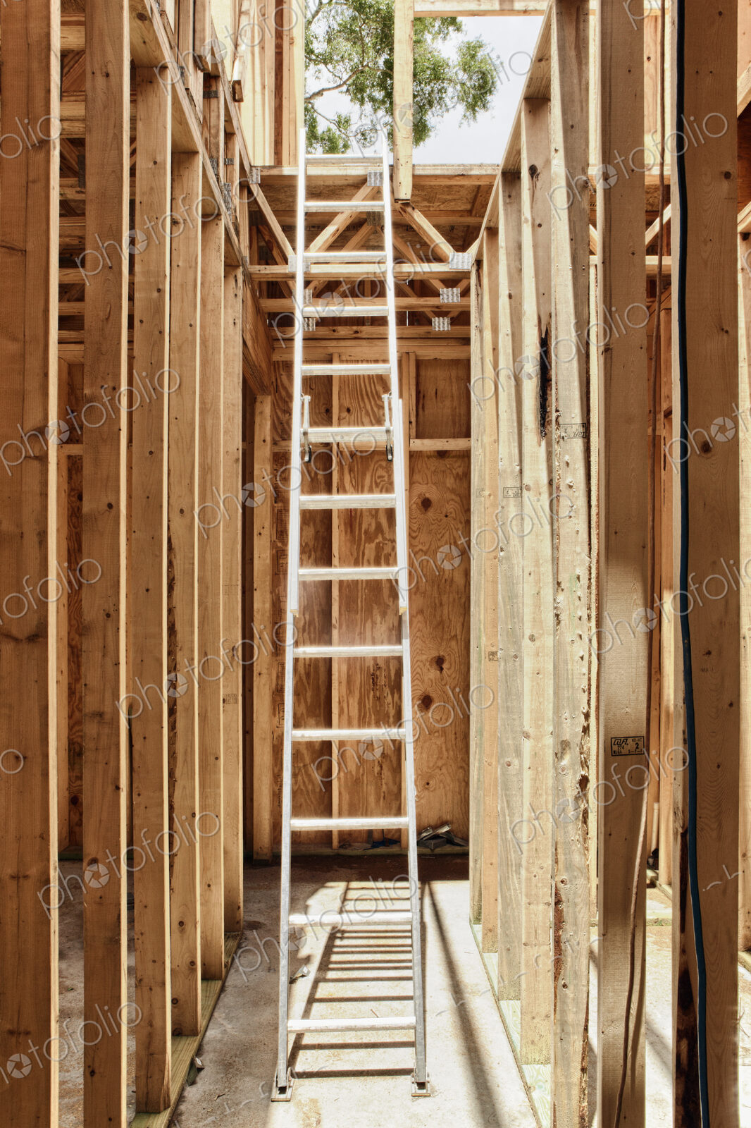 Tall Extension Ladder in an Unfinished Building