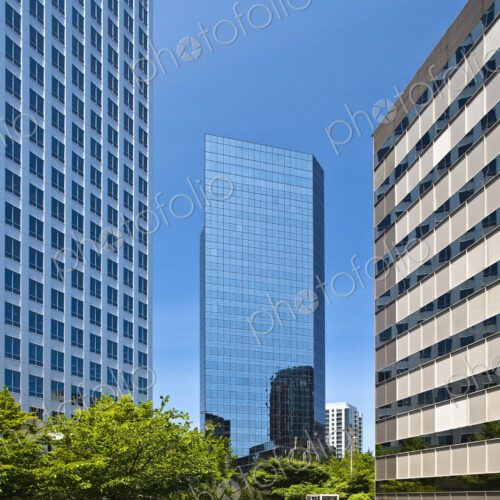 Tall Glass Building Between Two Other Buildings Tall Glass Building Between Two Other Buildings