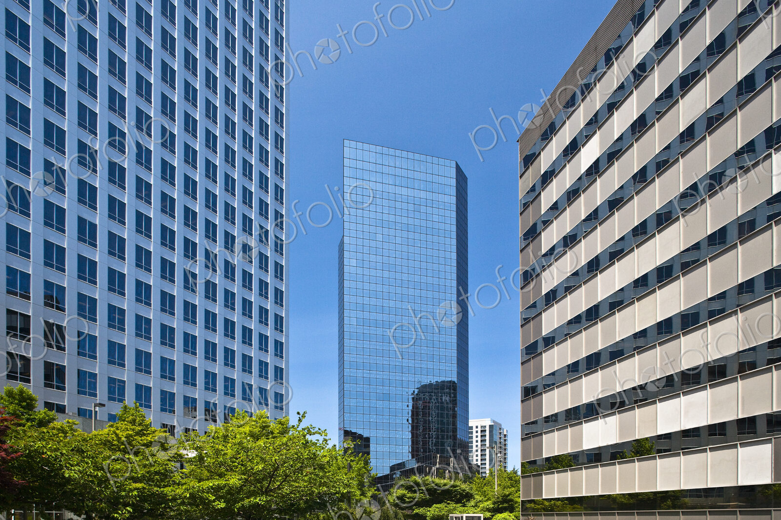 Tall Glass Building Between Two Other Buildings