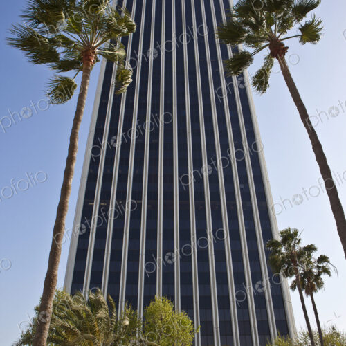 Tall Modern Office Building