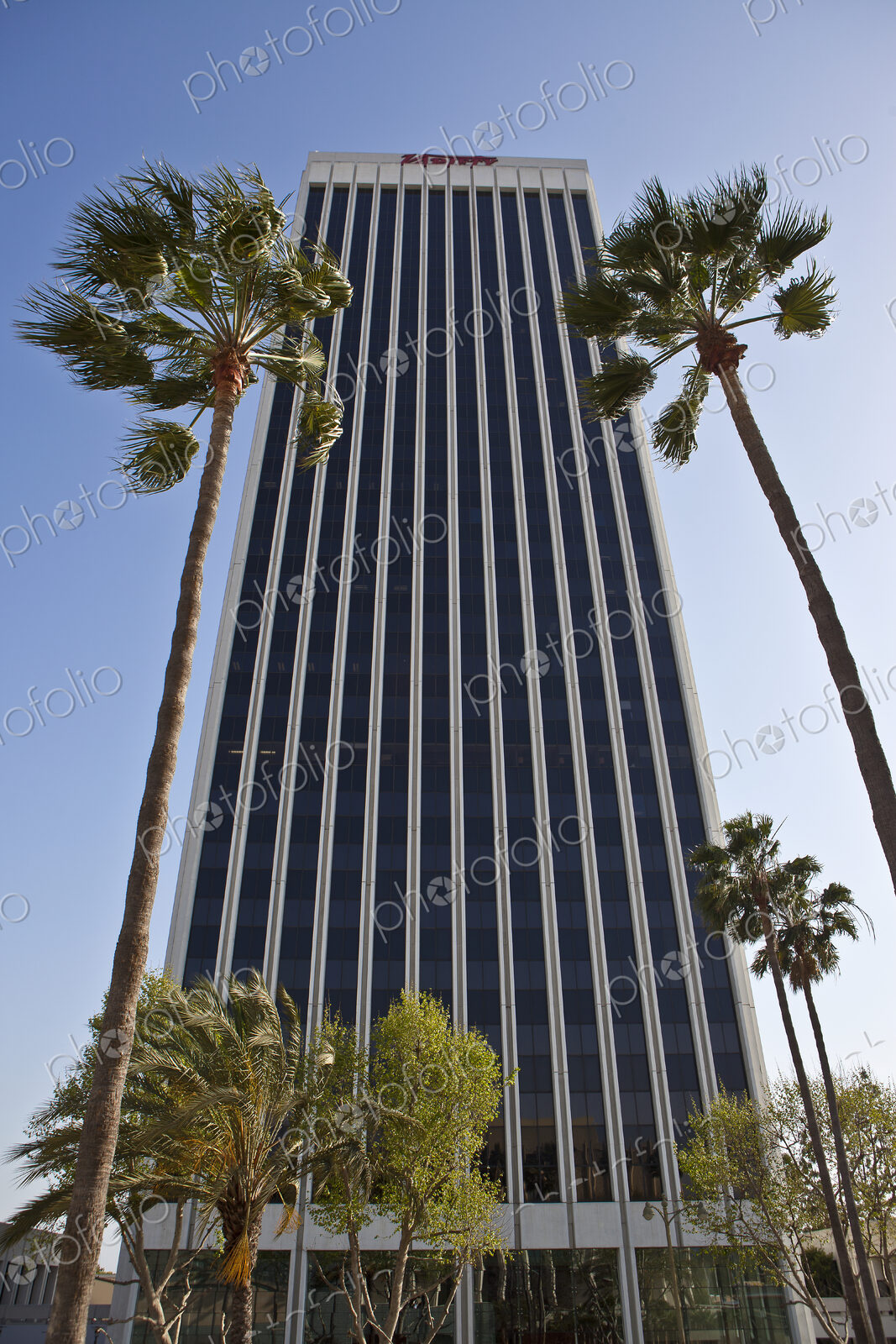 Tall Modern Office Building