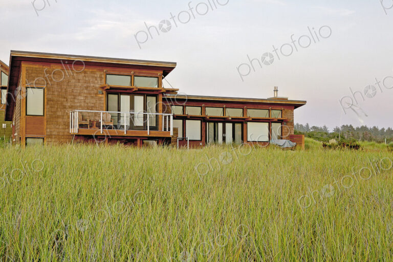 Tall grass growing near modern home