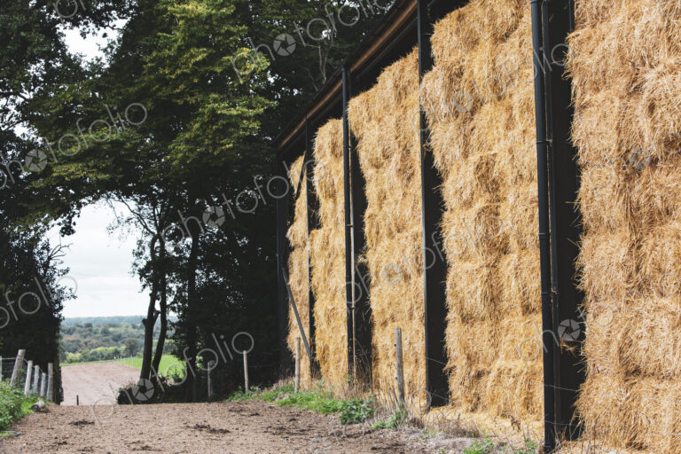 Tall stacks of straw bales along a rural farm track.