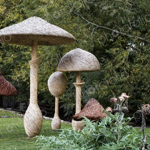 Tall wooden carved toadstools garden sculptures