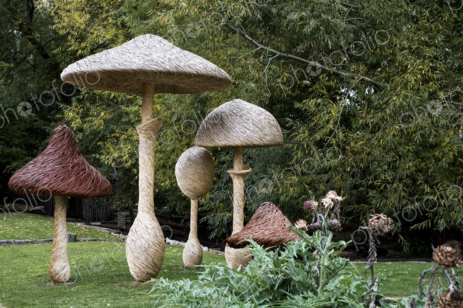 Tall wooden carved toadstools garden sculptures