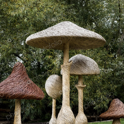 Tall wooden carved toadstools garden sculptures