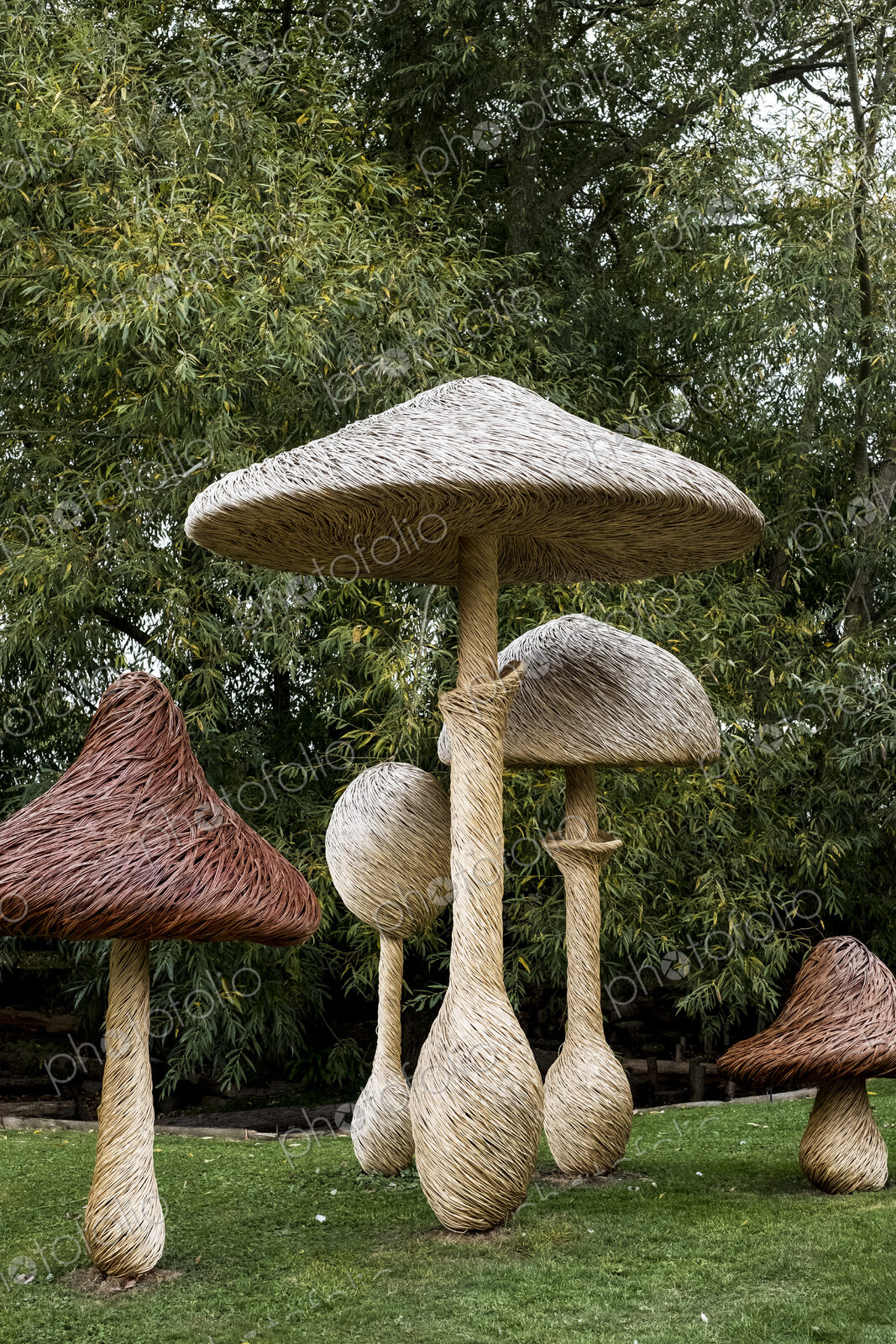 Tall wooden carved toadstools garden sculptures