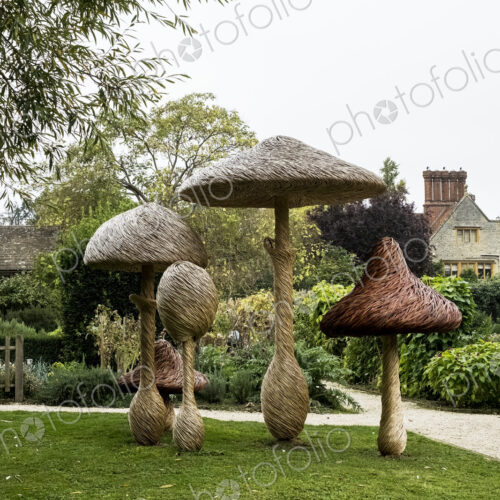 Tall wooden carved toadstools garden sculptures