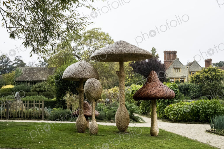 Tall wooden carved toadstools garden sculptures
