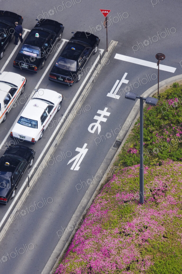 Taxis Waiting for Fares