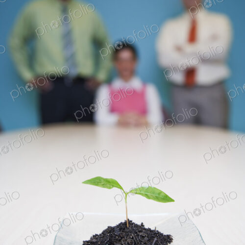 Team of three business people standing at a table looking at a single plant seedling,… Team of three business people standing at a table looking at a single plant seedling,…