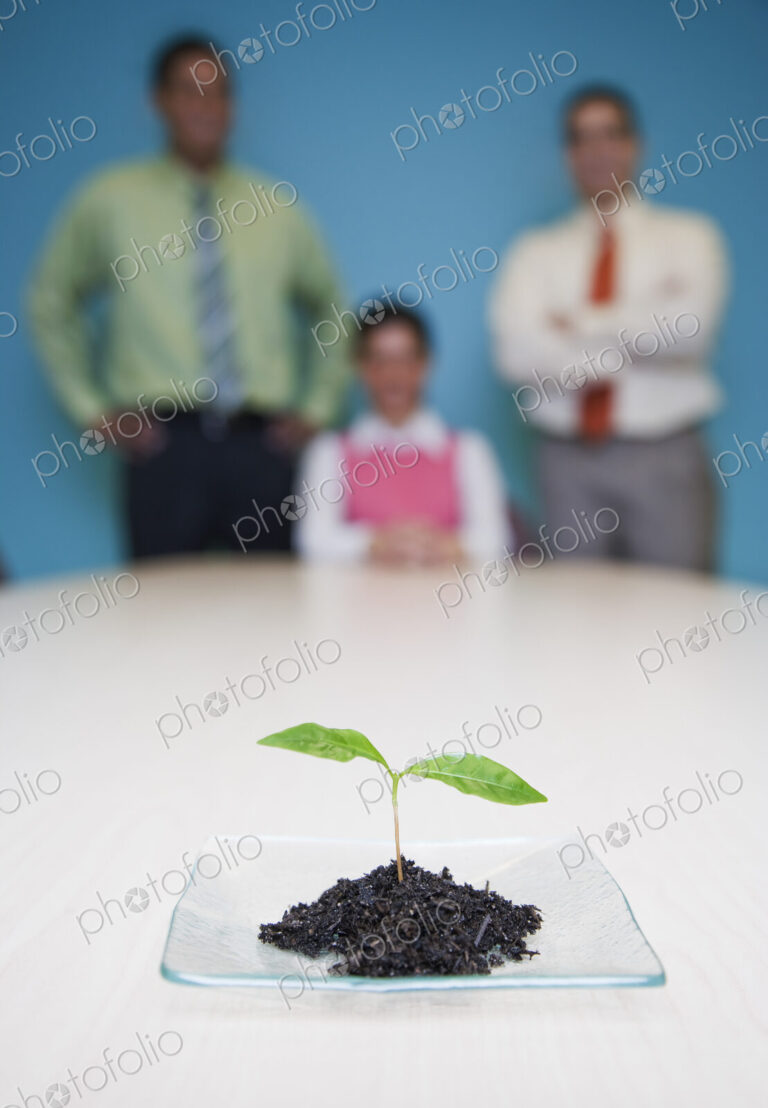 Team of three business people standing at a table looking at a single plant seedling,…