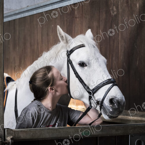 Teenage girl horserider with a grey horse outside astable, adjusting the girth and saddle.