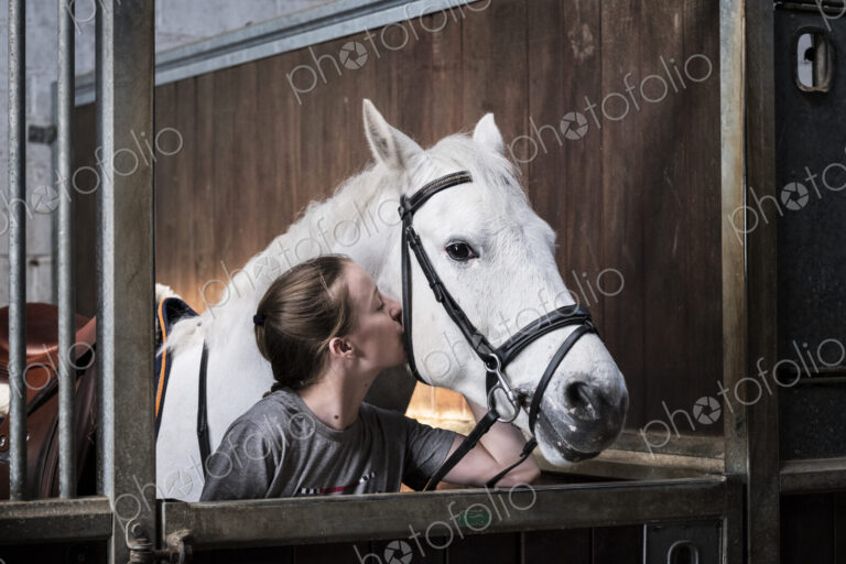 Teenage girl horserider with a grey horse outside astable, adjusting the girth and saddle.