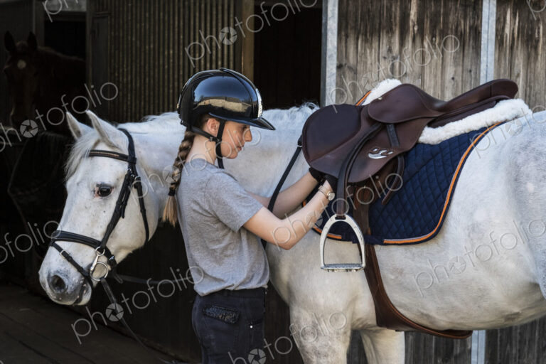 Teenage girl horserider with a grey horse outside astable, adjusting the girth and saddle.