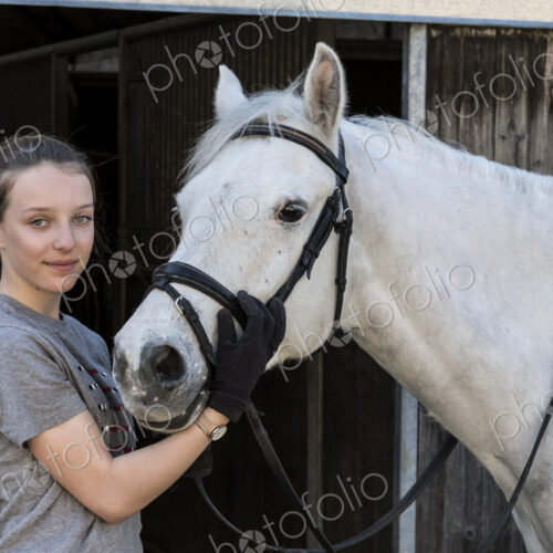 Teenage girl horserider with a grey horse outside astable, adjusting the girth and saddle. Teenage girl horserider with a grey horse outside astable, adjusting the girth and saddle.
