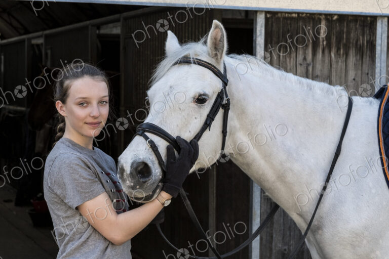 Teenage girl horserider with a grey horse outside astable, adjusting the girth and saddle.
