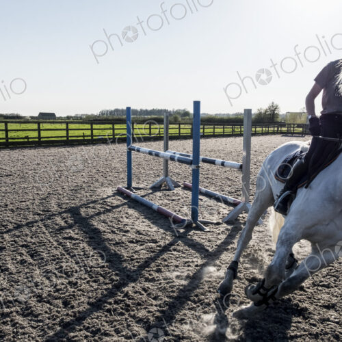 Teenage girl riding on a white horse in a paddock, taking a corner, horse moving at speed. Teenage girl riding on a white horse in a paddock, taking a corner, horse moving at speed.