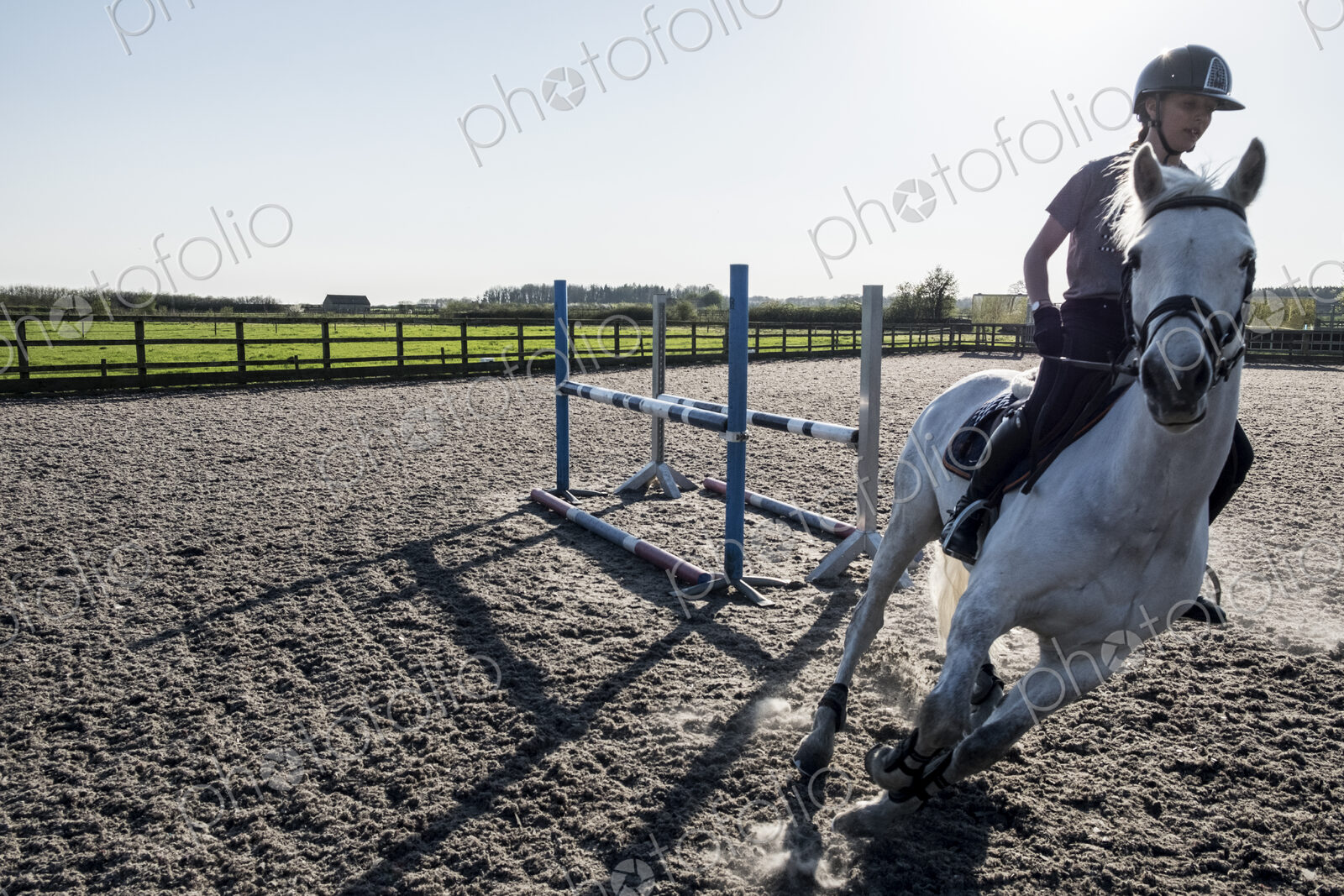 Teenage girl riding on a white horse in a paddock, taking a corner, horse moving at speed.