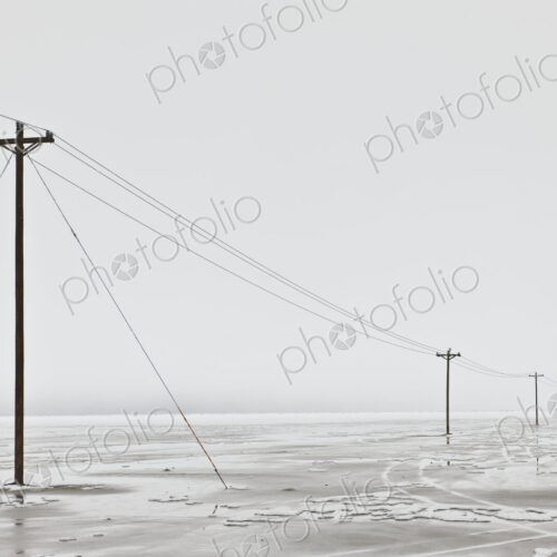 Telephone Poles in Bleak Winter Landscape